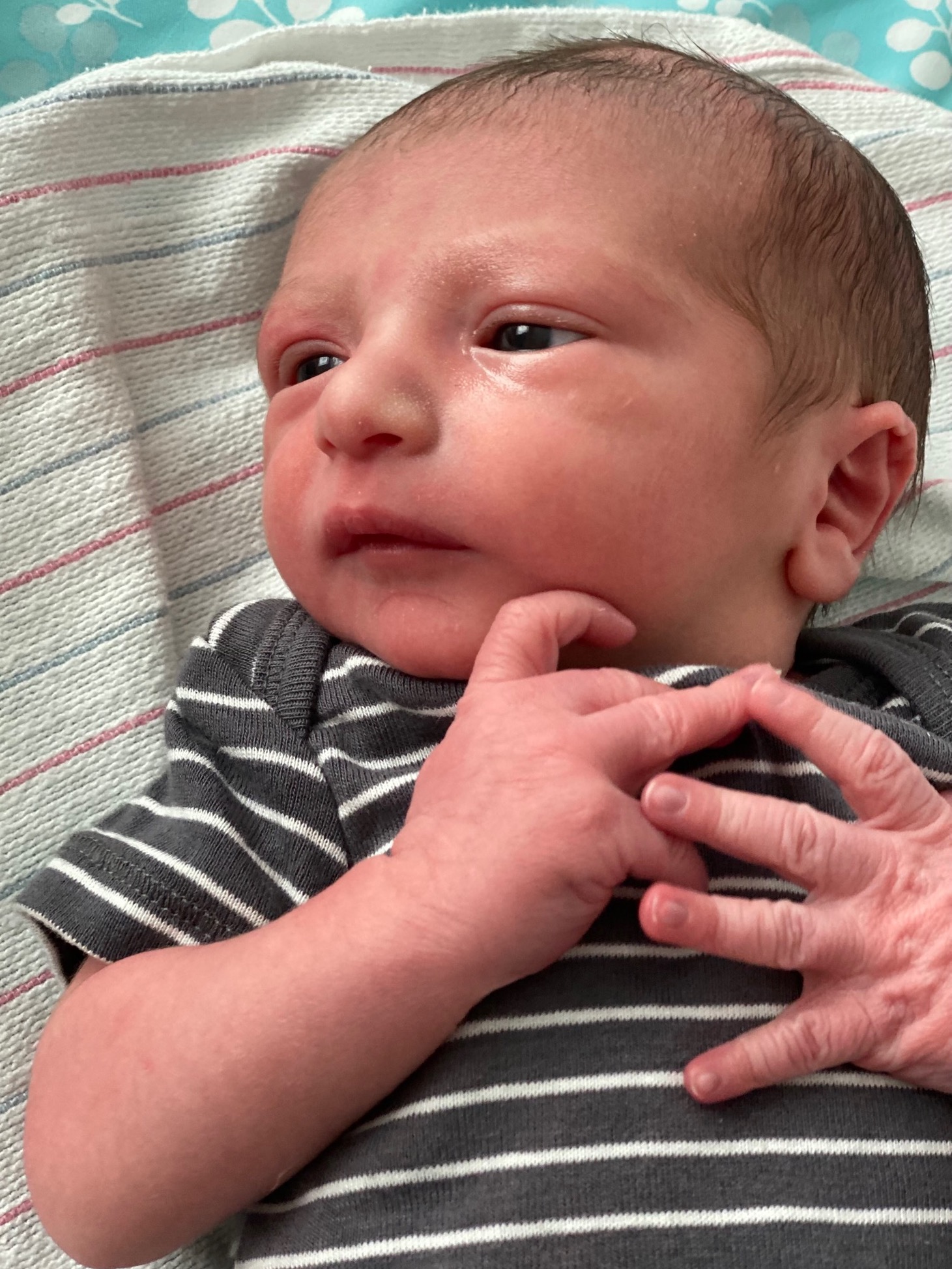 Born – Leonardo Frederick Dallorto