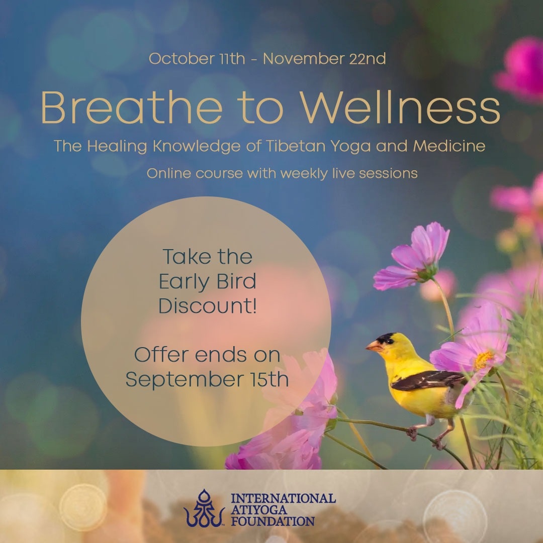 Breathe to Wellness! Online Course with Menpa Phuntsog Wangmo and Fabio Andrico