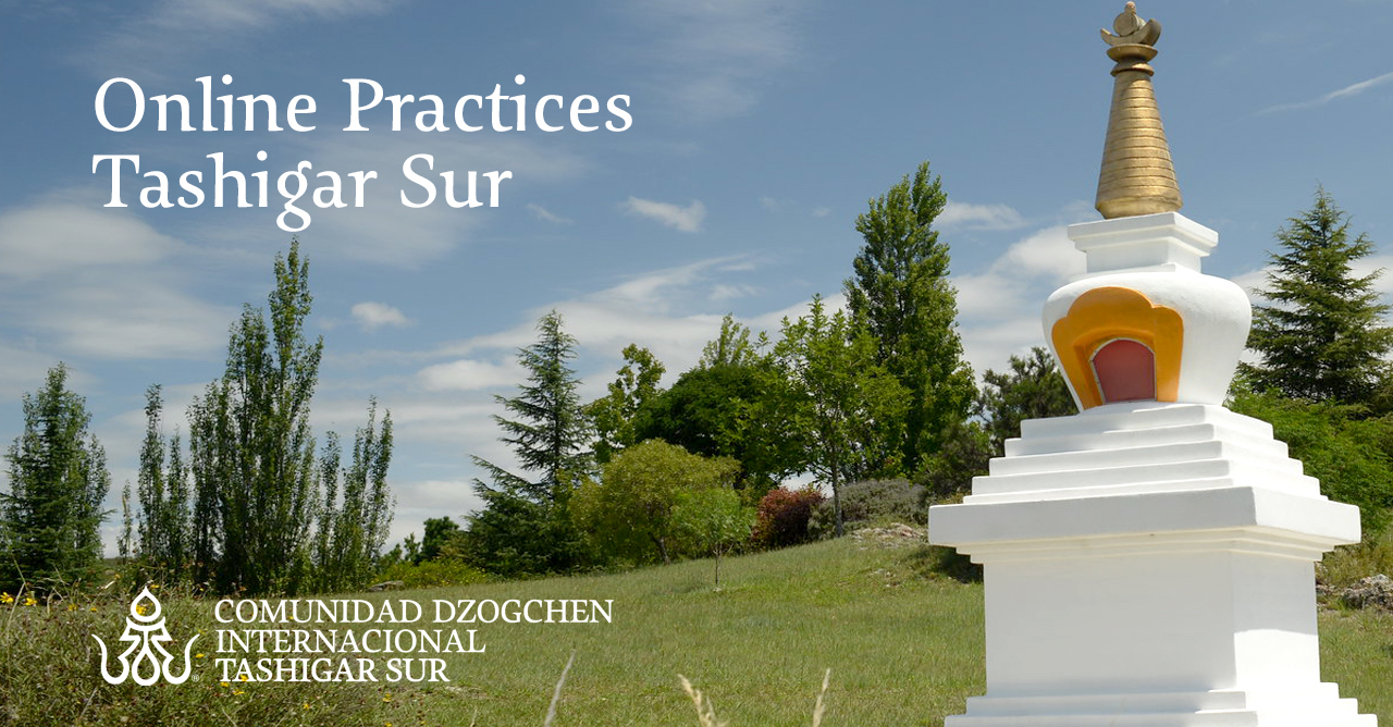Tashigar South Online Practices on January 10-16