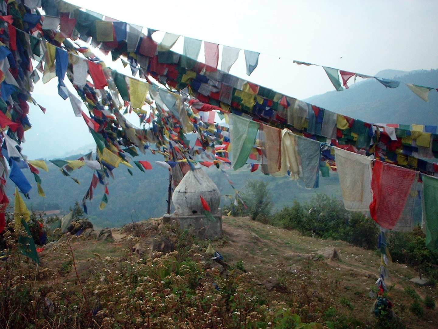 Hang your Lungta Flags for the Tibetan New Year!