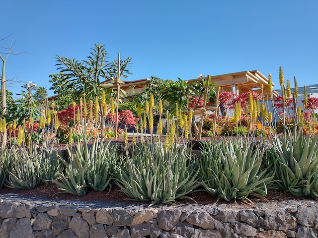 Continuing the Dzamling Garden Paradise