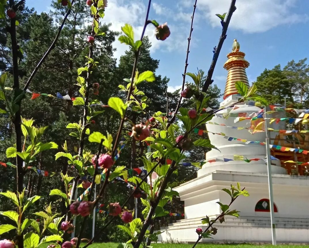 Summer Update from Kunsangar North