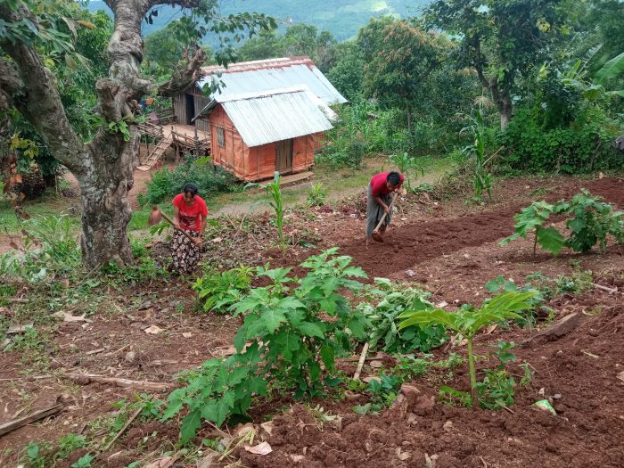 It Takes a Village to Make a Vegetable Garden