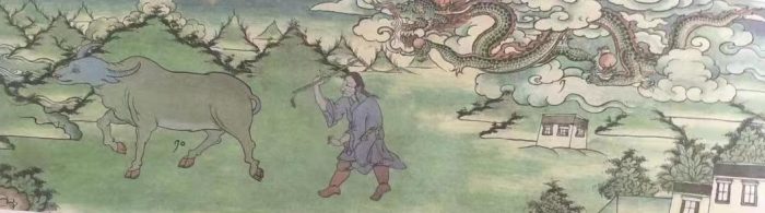 divinazione del bue tibetano