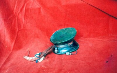 Il Tibet di Chögyal Namkhai Norbu – Parte 8