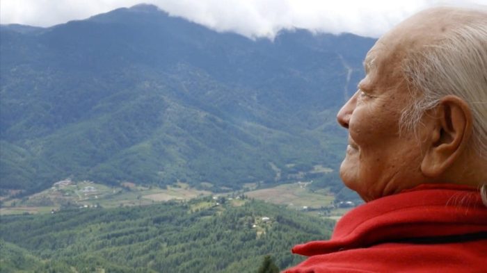 Riflessione sui Cinque Anni