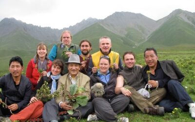 Activities of the School of Tibetan Medicine in USA