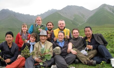 Activities of the School of Tibetan Medicine in USA