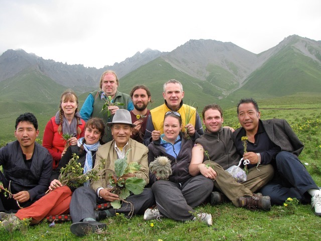 Activities of the School of Tibetan Medicine in USA