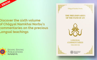 Longsal Commentaries Volume Six