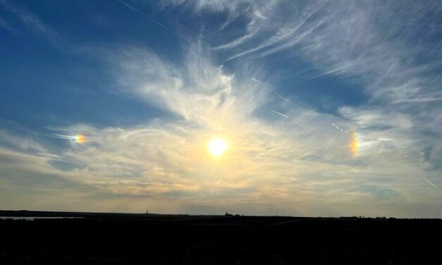 Notizie da Merigar Est