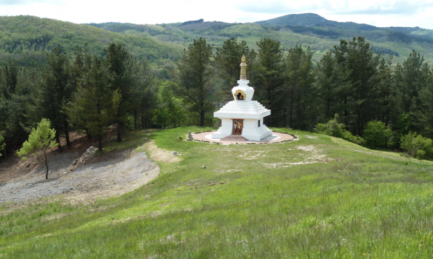 Raccolta fondi ‘8 dicembre’