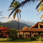 Online Retreat with Elias Capriles