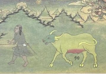La divinazione del bue per l’anno del Drago di legno