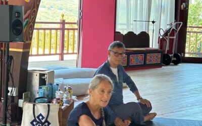 Yantra Yoga – Yoga tibetano del movimento: Principi, accessibilità e sviluppo