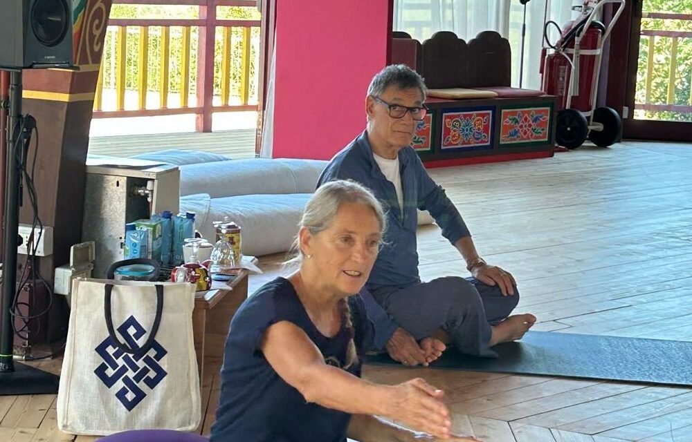Yantra Yoga – Tibetan Yoga of Movement: Principle, Accessibility and Development