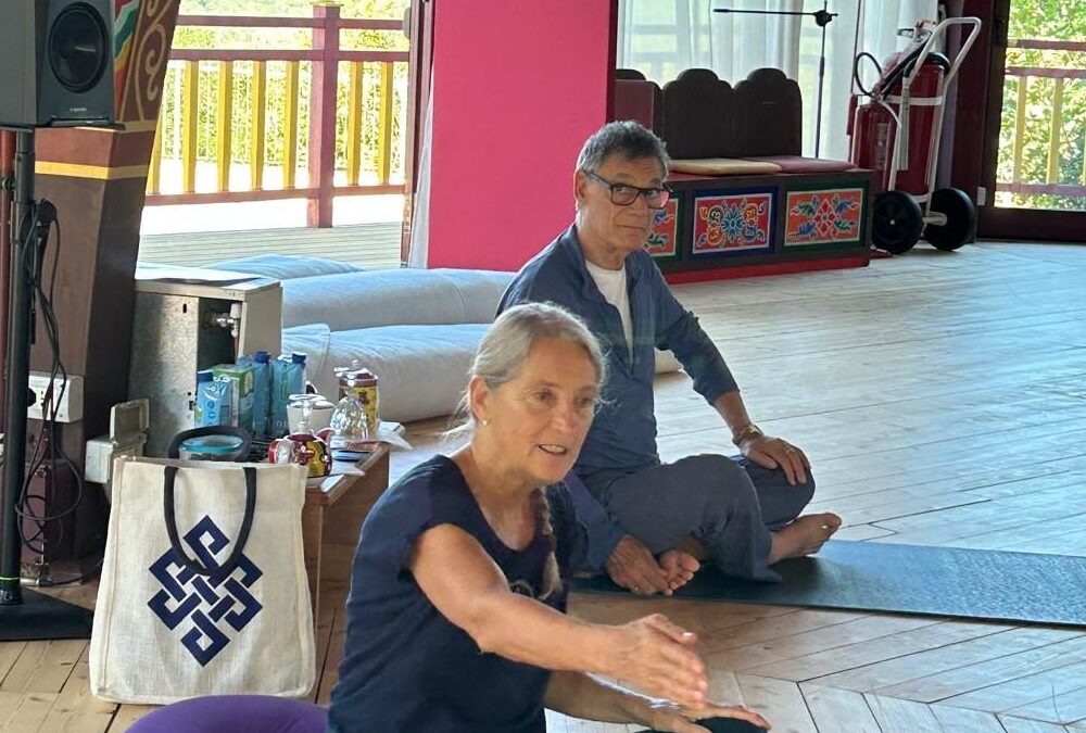 Yantra Yoga – Tibetan Yoga of Movement: Principle, Accessibility and Development