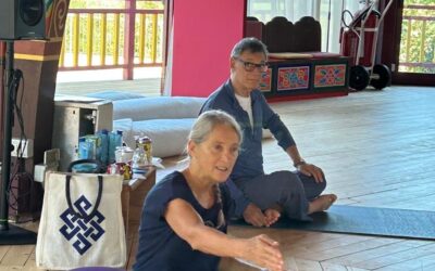 Yantra Yoga – Tibetan Yoga of Movement: Principle, Accessibility and Development