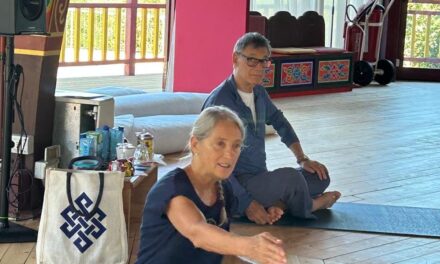 Yantra Yoga – Tibetan Yoga of Movement: Principle, Accessibility and Development