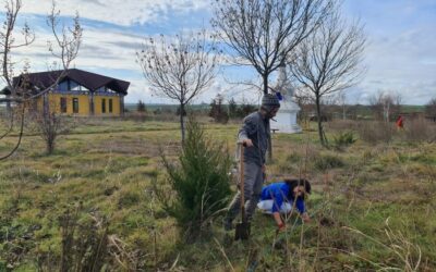 … Tutto Continua a Merigar East!