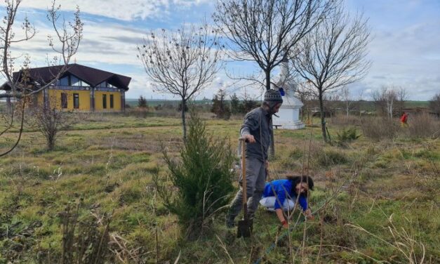 … Tutto Continua a Merigar East!