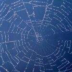 Cosa ci rende una comunità?