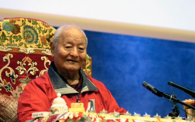 Istruzione esperienziale su “Dzogchen Medjung” Lo Stato Meraviglioso