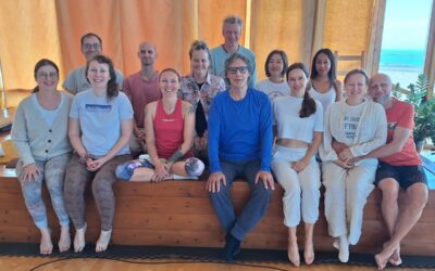 The In-Depth Eight Movements Course,Teacher Training and Supervision at Dzamling Gar