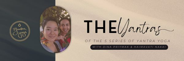 Corso online di Yantra Yoga sulle Cinque Serie