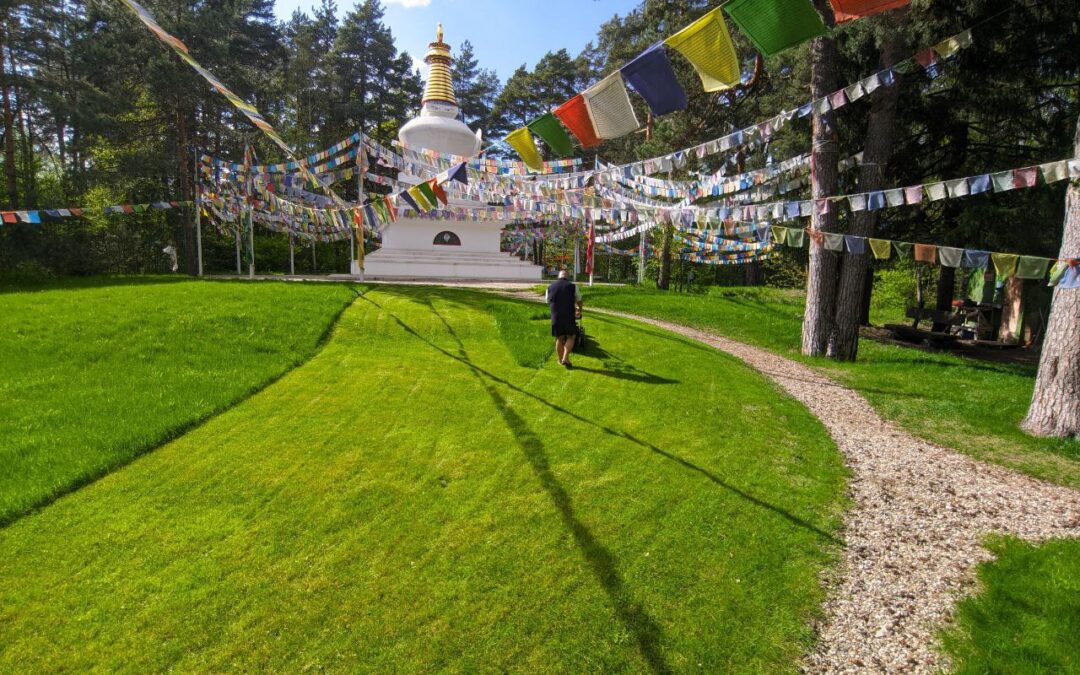 La connessione vivente con l’insegnamento