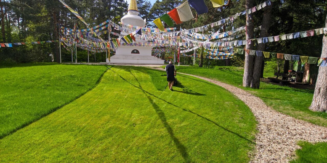 La connessione vivente con l’insegnamento