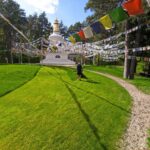 La connessione vivente con l’insegnamento