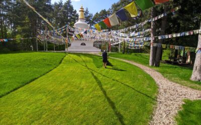 La connessione vivente con l’insegnamento