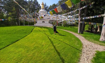 La connessione vivente con l’insegnamento