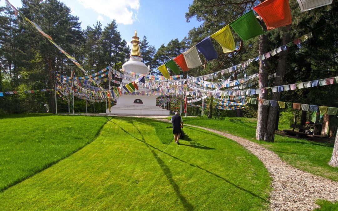 Living Connection with the Teaching