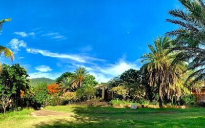 Un invito a godere e partecipare a Tashigar Norte!