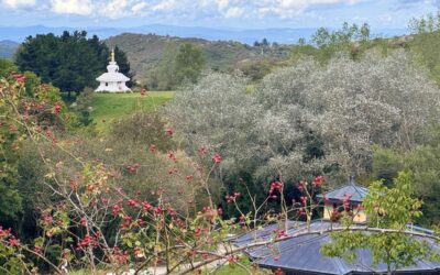 Namkhai Yeshi & Merigar Honor Chögyal Namkhai Norbu