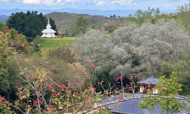 Namkhai Yeshi e Merigar West rendono omaggio a Chögyal Namkhai Norbu