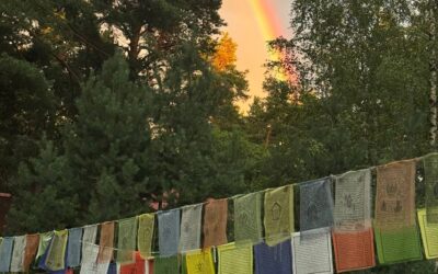 Summer at Kunsangar North