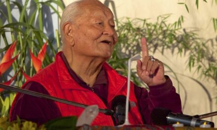 Чогьял Намкай Норбу: переживания в практике