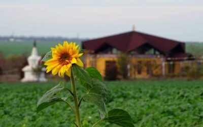 News from Merigar East