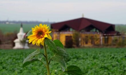 Notizie dal Merigar Est