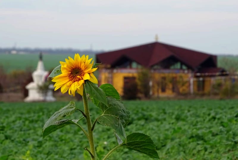 News from Merigar East