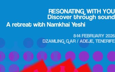 Program Ready! for Resonating with You Retreat