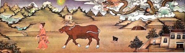 ox prediction 2026