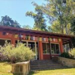 Collaboration Between Two Tashigars