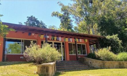 Collaboration Between Two Tashigars