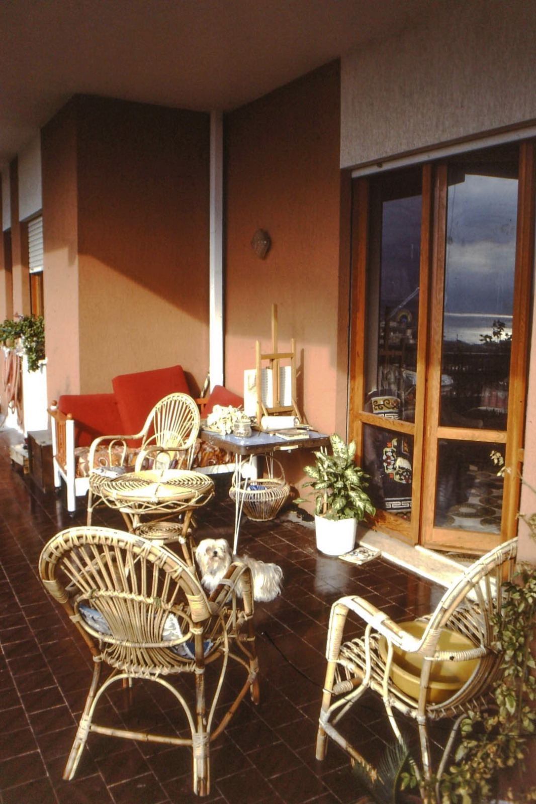 ChNN home Formia_John Shane