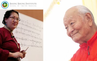 Graduación de la nueva cohorte de asesores en dieta y estilo de vida de Medicina Tibetana