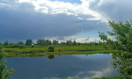 Kunsangar North: Recent Events, Community Life, and Notes on Beauty